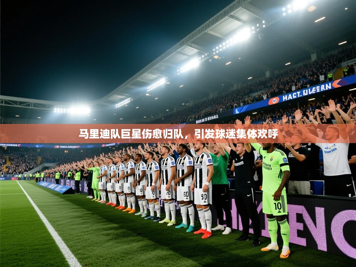 马里迪队巨星伤愈归队，引发球迷集体欢呼